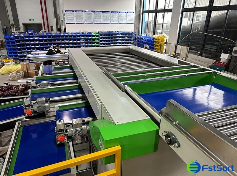 onion sorting machines.jpg onion sorting machines.jpg